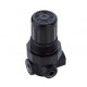 VALVULA NEUMATICA REGULADOR DE PRESION G1/4" 0,3-7Bar R07-200-RNKG