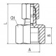 Racord Recto rosca Hembra BSP Cilíndrico Ø15mm G1/2 Ref. Aignep 13500 15 1/2