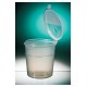 Vaso toma muestras graduado envase estéril 300ml con tapa bisagra FL300-04 240ud