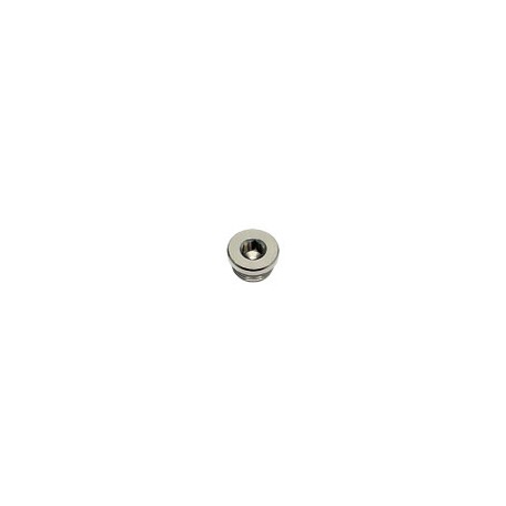 Tapón Hexagonal interior Rosca Macho Cilíndrico BSP y métrica Ø21mm 3/8 Ref. LEGRIS 0919 00 17